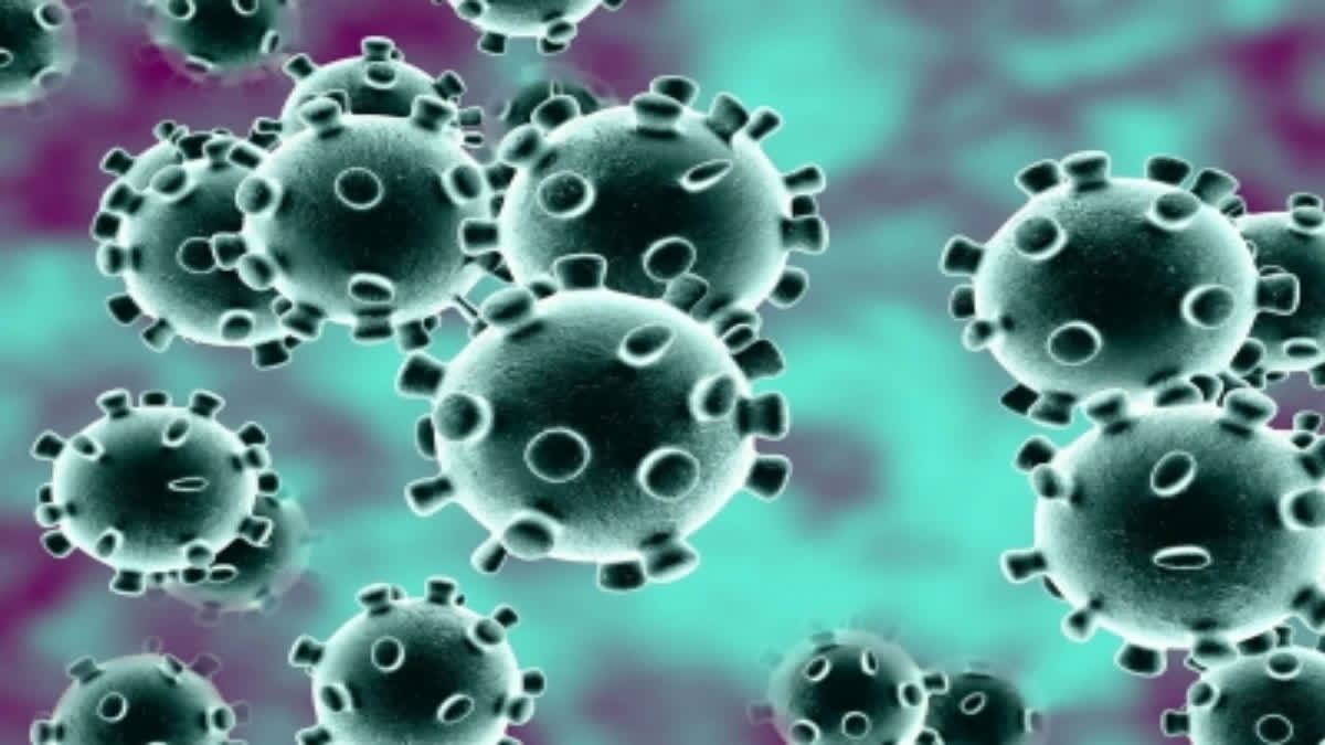 next pandemic that could come from a million unknown viruses