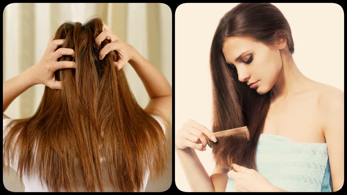 Home Remedies For Dry Hair