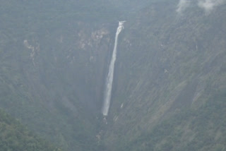 rat tail falls view