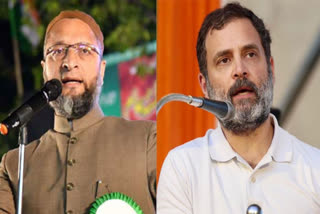 MIM leader Asaduddin Owaisi challenges Rahul Gandhi to contest elections from Hyderabad