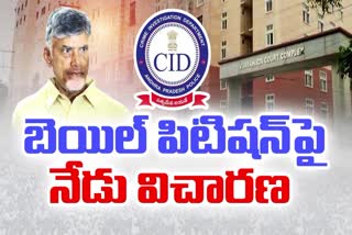 Chandrababu Bail Petition Hearing