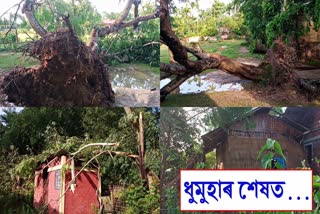 Devastating storm at Dhansiri