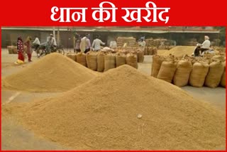 Paddy procurement in Haryana update