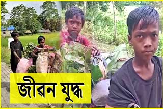 Life struggle of Two boys at Dergaon