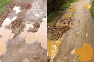 road problems in abdullapur village