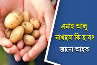 What will happen if you do not eat potatoes for a month? Know how it will affect your health