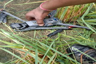 BSF and police recovered a Pakistani drone from the fields of Mahawa village in Amritsar