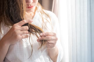 Dry Hair Home Remedies News