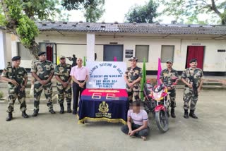 BSF Gold Recovered