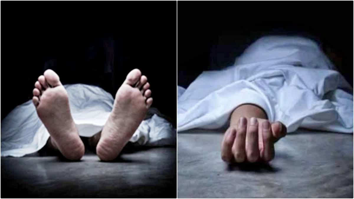 Husband and wife died in Mandi