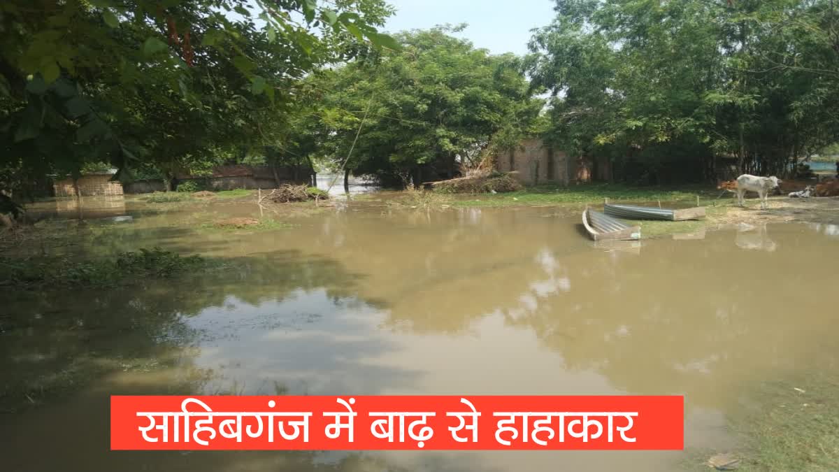 ganga-river-high-level-flood-situation-increase-water-sahibganj