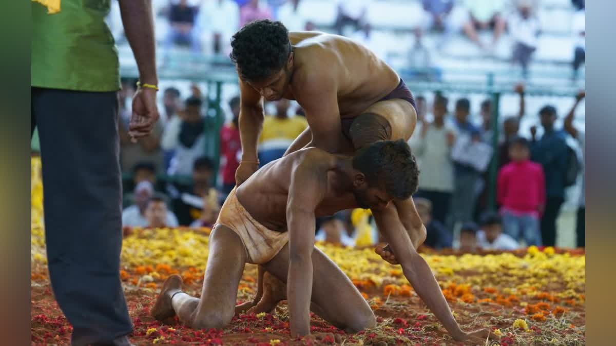 DASARA WRESTLING