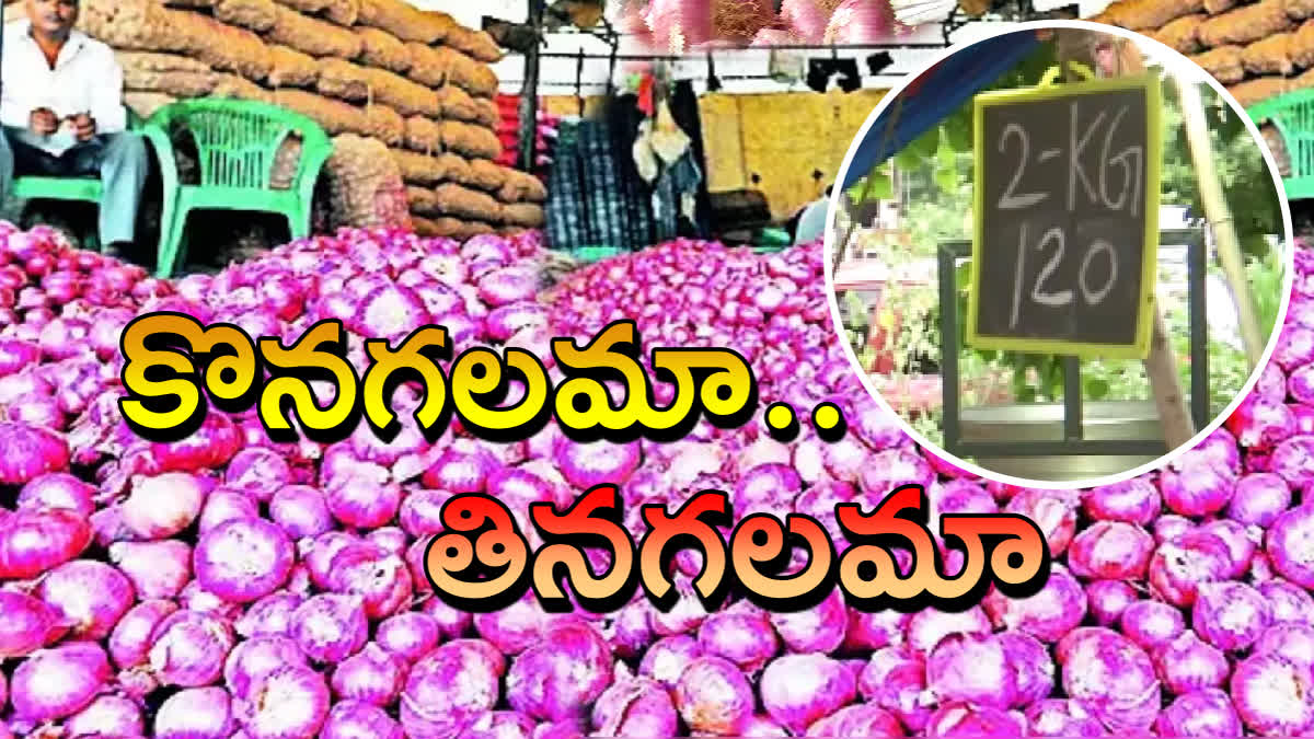 Onion Prices Increased