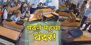 CHHATARPUR MONKEY ENTERED CLASSROOM