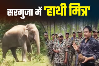 ELEPHANT TRACKERS IN SURGUJA