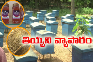 kushalam_honey_farming_business_in_eluru_district