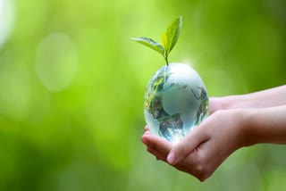 World Environmental Health Day: To Make A Healthier, More Sustainable Planet For Future Generations