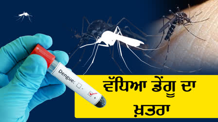 Dengue Symptoms and Treatment