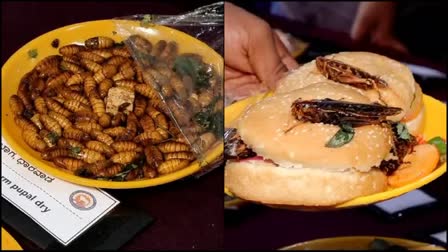 Insect-Based Foods Fascinate Visitors At Dharwad Krishi Mela