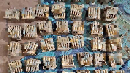 cartridges found in Gaya