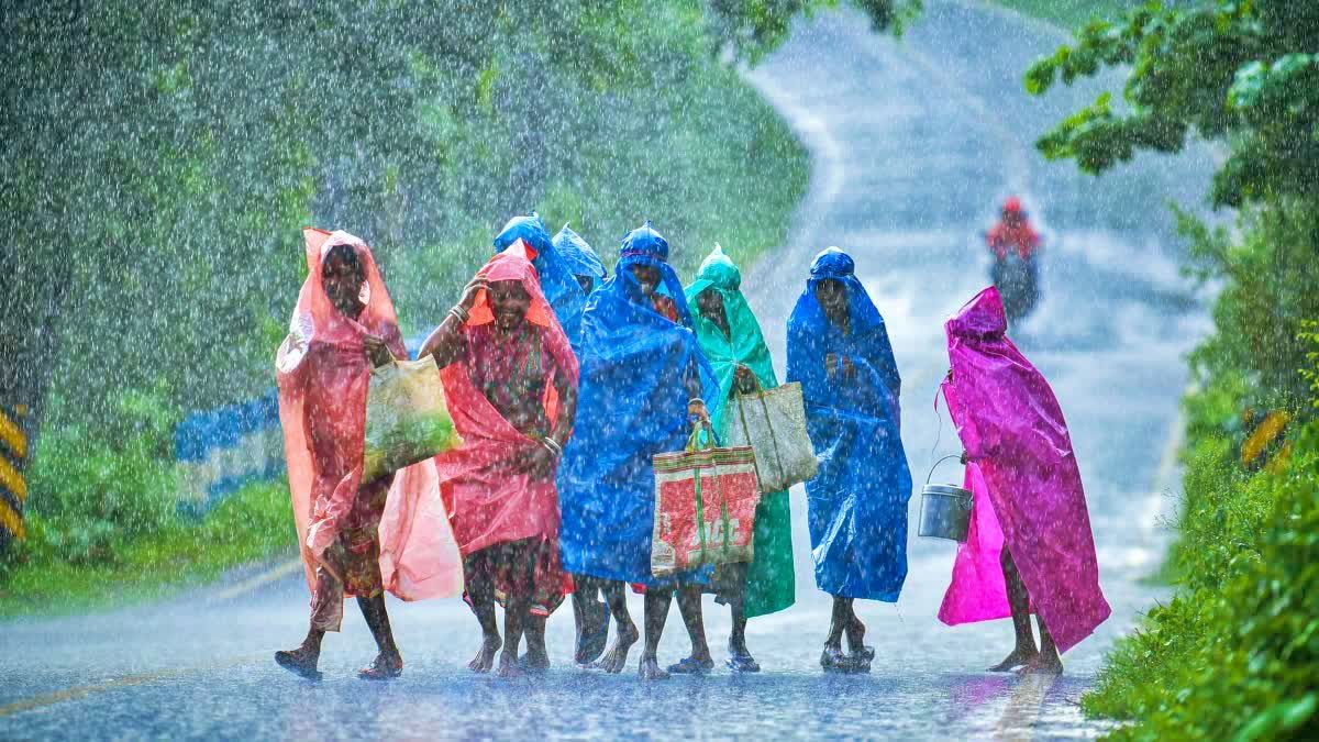 Etv Bharat Kerala Weather Update  Kerala Rain Warning  Kerala Rains  kerala clmate  മഴ മുന്നറിയിപ്പ്  കേരളത്തിൽ മഴ  വ്യാപക മഴ  മഴ അലർട്ട്  യെല്ലോ അലർട്ട്