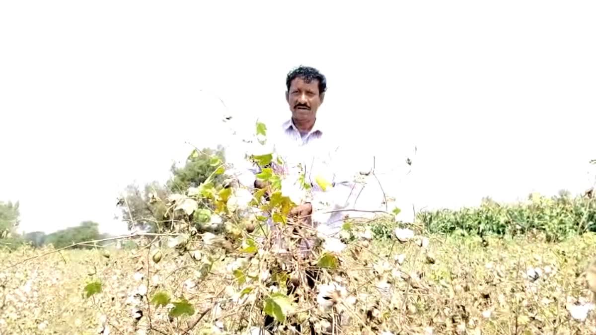 Farmer Gangappa Barki