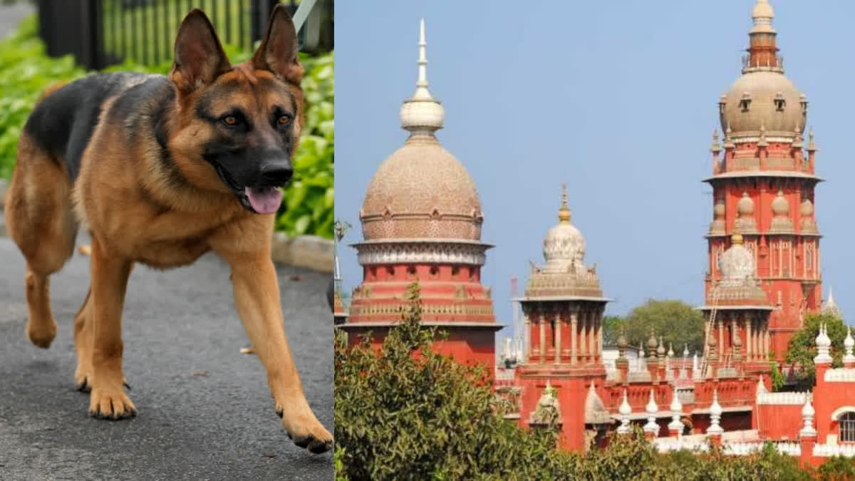 foreign dogs import ban issue case