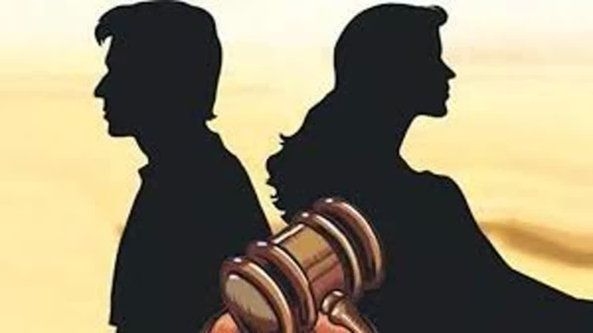 expensive-divorce-case-in-haryana:businessman agreed to paid Rs one crore to wife and daughter
