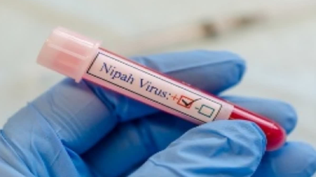 NIPAH VIRUS IDENTIFIED IN BATS IN WAYANAD KERALA CONFIRMED ICMR HEALTH MINISTER ALERTS