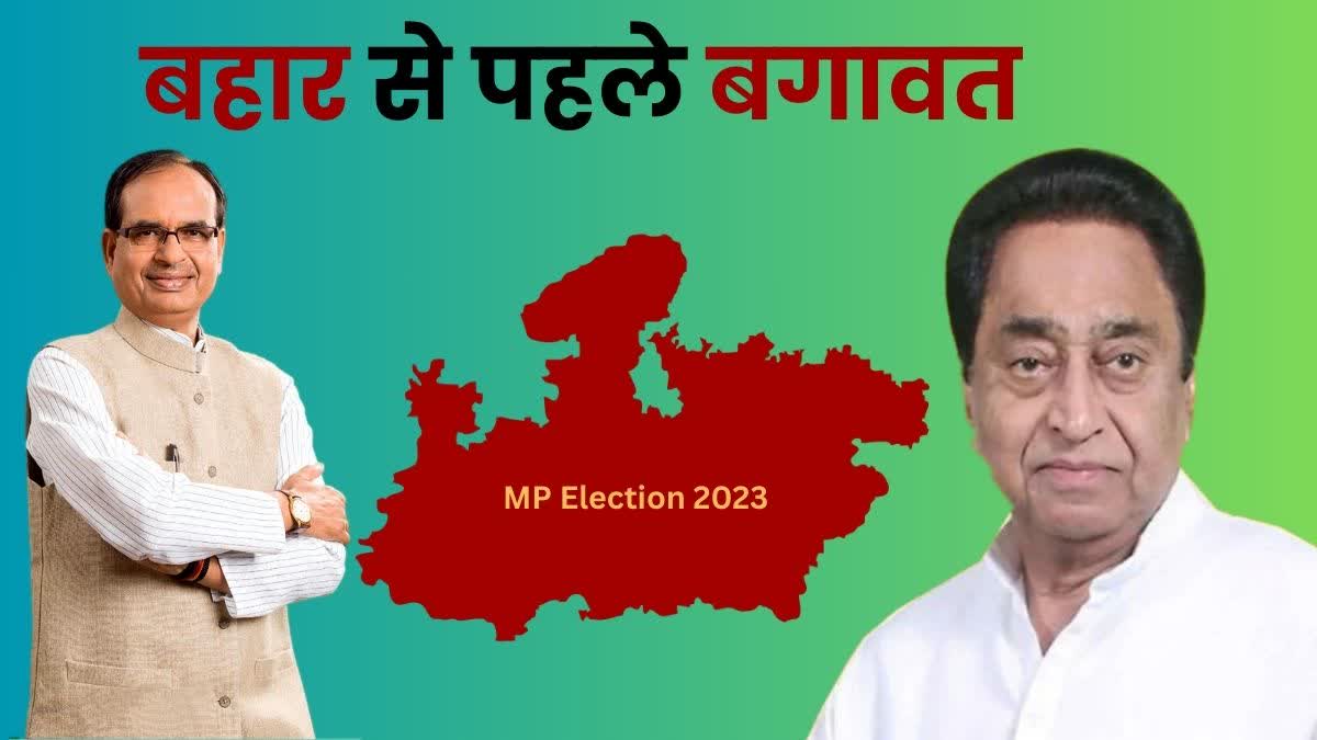 MP Election 2023