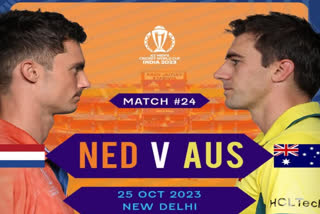 australia vs netherlands match preview
