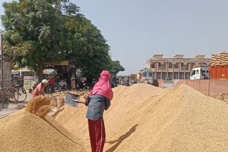 Kharif Season 2023 in Haryana