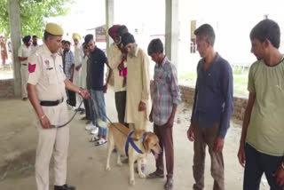 A special search operation was conducted in Kapurthala Modern Jail