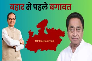 MP Election 2023