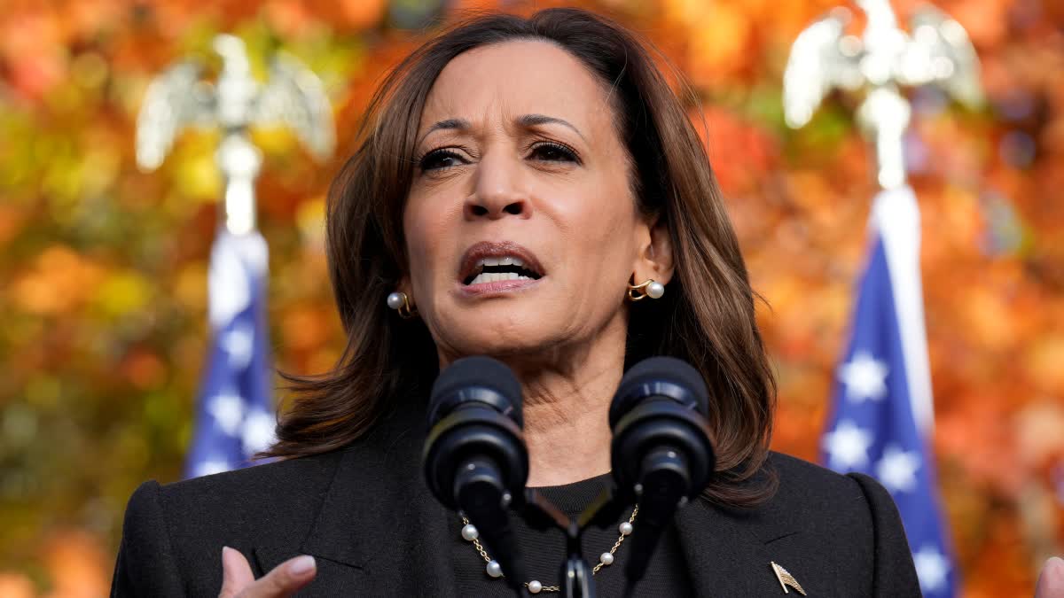 US Vice President Kamala Harris