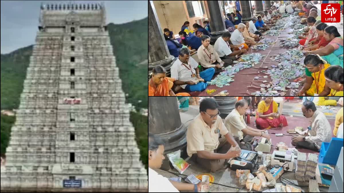 அண்ணாமலையார் கோயில், காணிக்கை எண்ணும் பணி