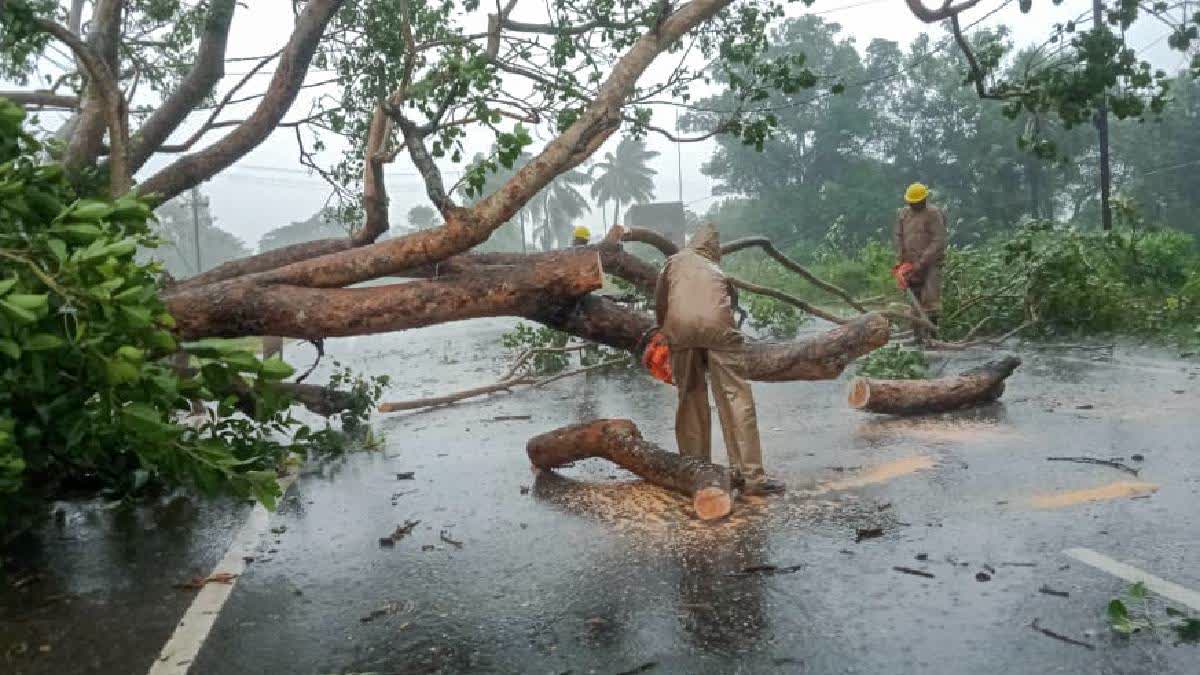 West Bengal CM Mamata Banerjee said that one person died in the state in cyclone Dana, even as the administration evacuated around 2.16 lakh people.