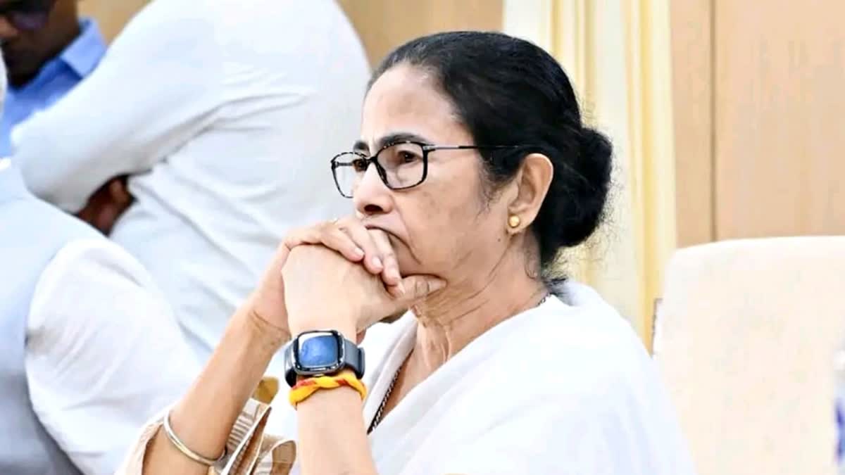 CM Mamata Banerjee