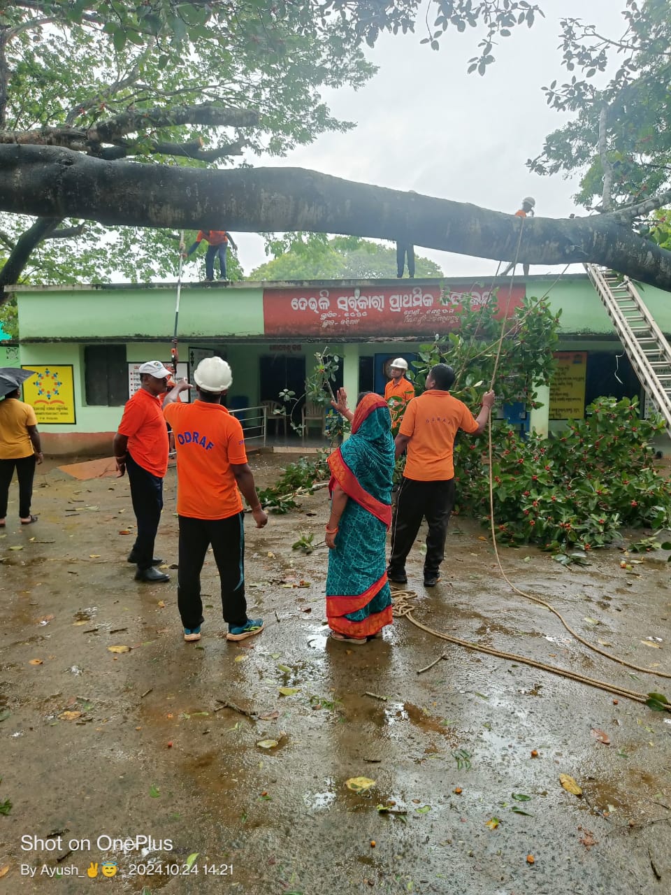 cyclone dana