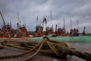 The state evacuated nearly 600,000 people to cyclone shelters, providing food and medical care, with the highest numbers from Balasore and Mayurbhanj districts.