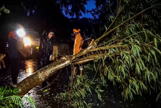 Severe cyclonic storm 'Dana' made landfall on Odisha coast, bringing winds up to 110 kmph and heavy rainfall, with evacuation of nearly 584,000 residents.