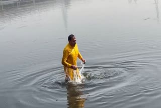 वीरेंद्र सचदेवा ने यमुना में लगाई डुबकी