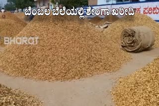 Central approval for purchase of groundnuts at  MSP : How much price per quintal?