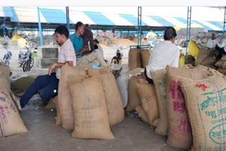 MP Soybean purchasing start