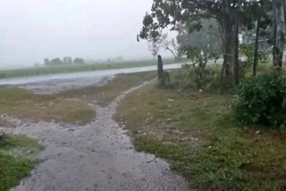 Rain In Jajpur