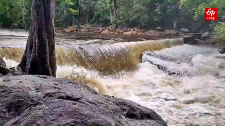 நெல்லை களக்காடு தலையணை