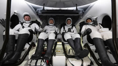 SpaceX Crew-8 Dragon Astronauts