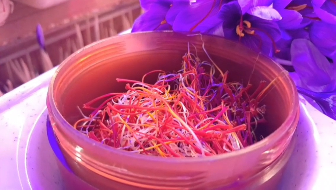 Both brothers and sisters are cultivating saffron in Ludhiana