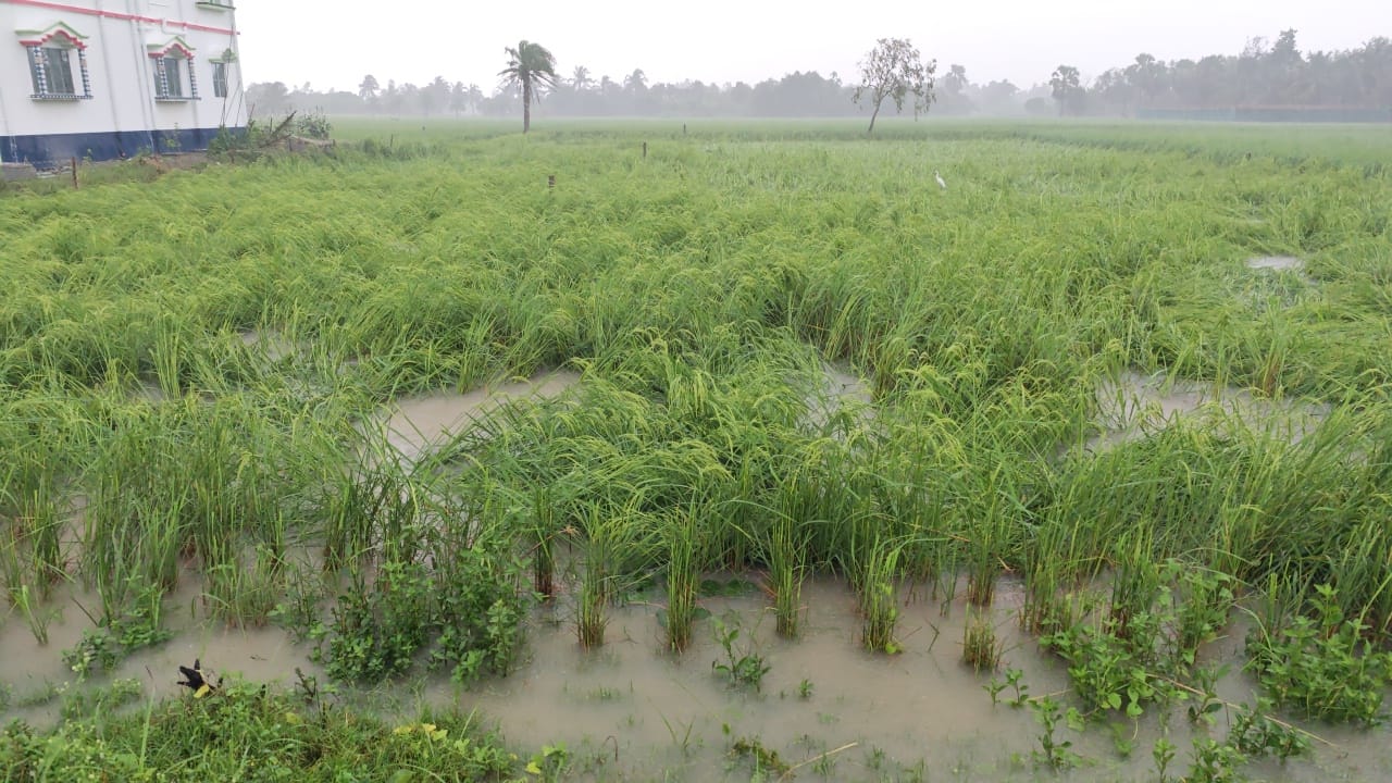 CYCLONE DANA EFFECTS