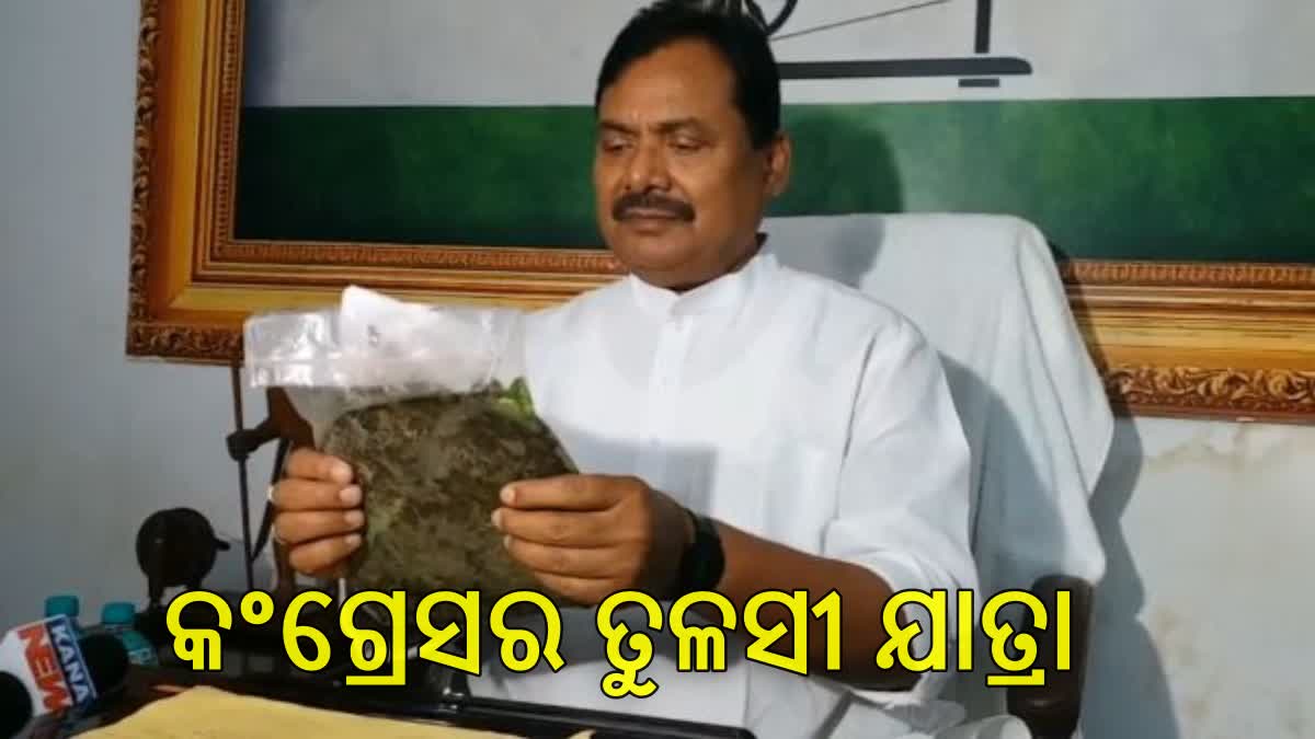 କଂଗ୍ରେସ ଭବନରେ ପହଞ୍ଚିଲା ପ୍ରଥମ ତୁଳସୀ ,ଡିସେମ୍ବର ୧ରେ ତୁଳସୀ ଯାତ୍ରା